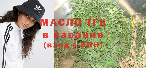 шишки Киренск