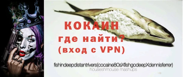 шишки Киренск
