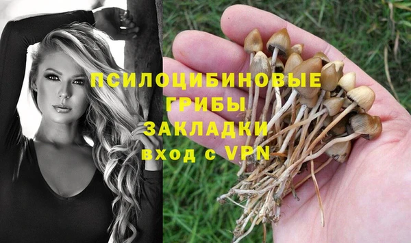 гидра Киреевск