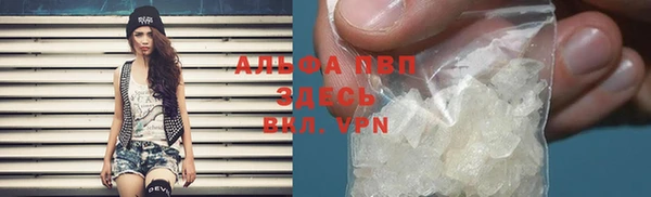 стафф Кинешма