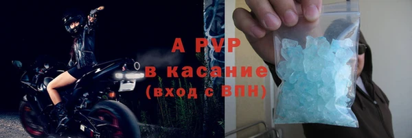 шишки Киренск