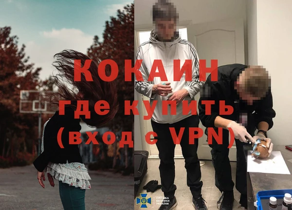 шишки Киренск