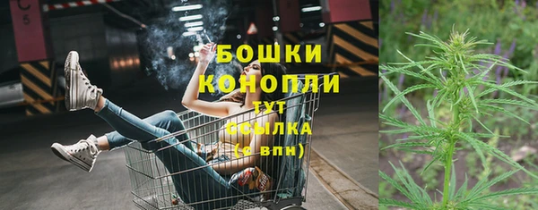 ГАЛЛЮЦИНОГЕННЫЕ ГРИБЫ Козельск