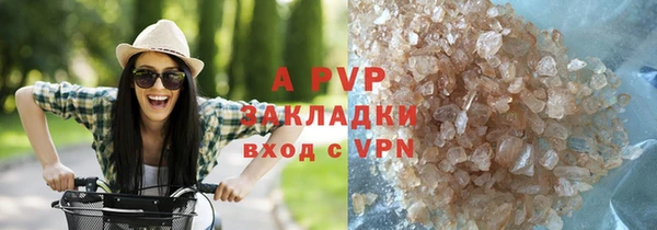 шишки Киренск