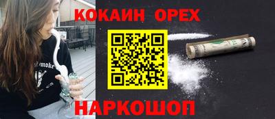 шишки Будённовск