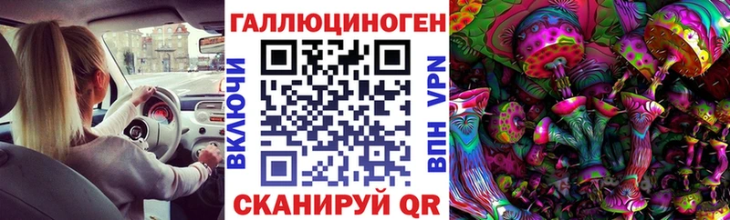 дарнет шоп  Костомукша  Псилоцибиновые грибы прущие грибы 