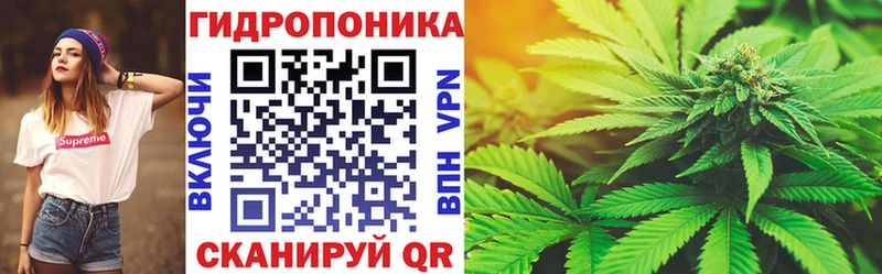 Бошки марихуана THC 21% Костомукша
